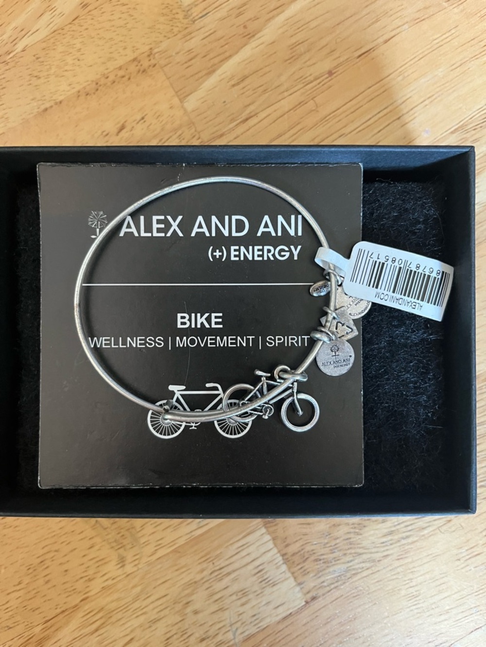 Alex and Ani Silver Bike Charm Bangle